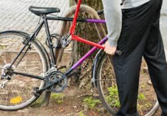 Velodiebe
